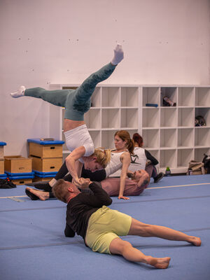 BAF 2026 photo 14