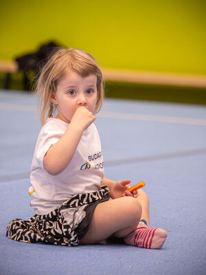 BAF 2026 photo 15